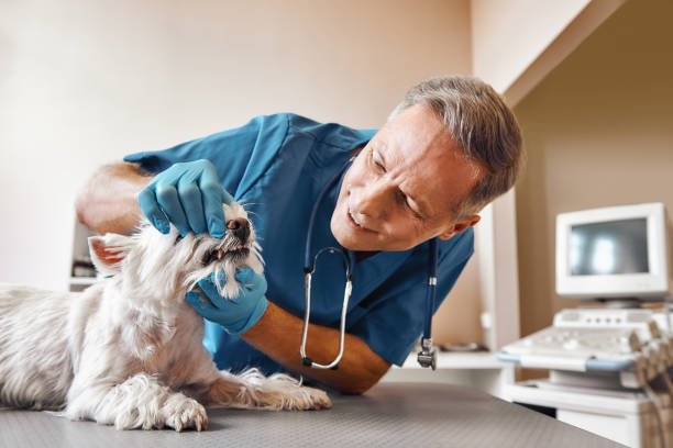 Best Same-Day Emergency Dentist in Fort Worth, TX
